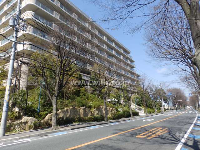 敷地の東側前面道路