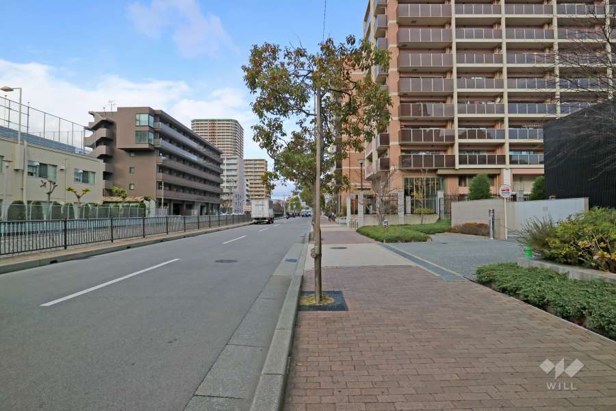 敷地西側の前面道路（南側から）