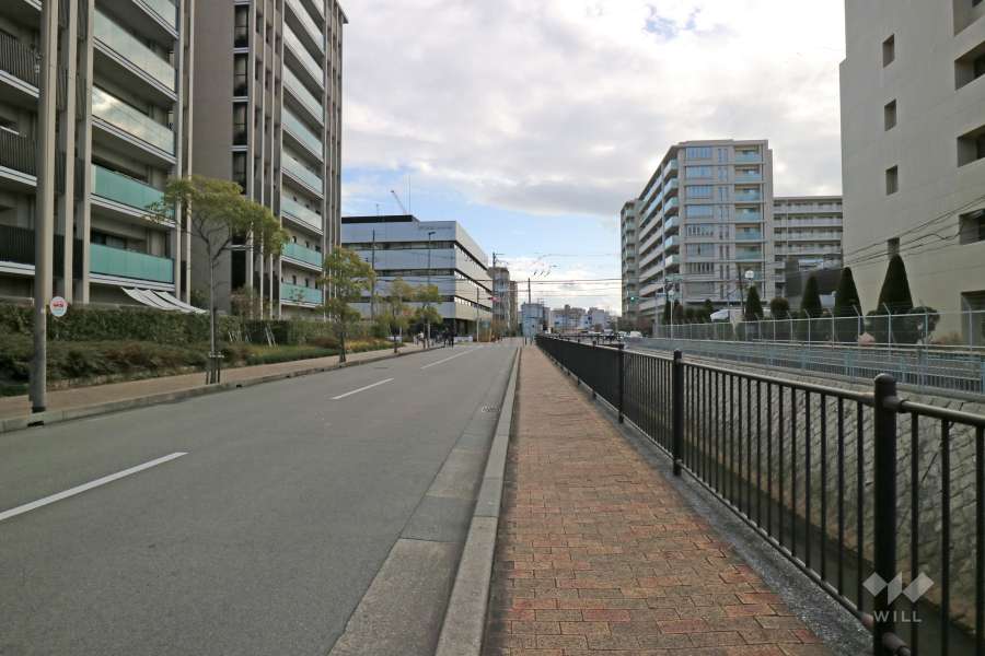 敷地西側の前面道路（北側から）