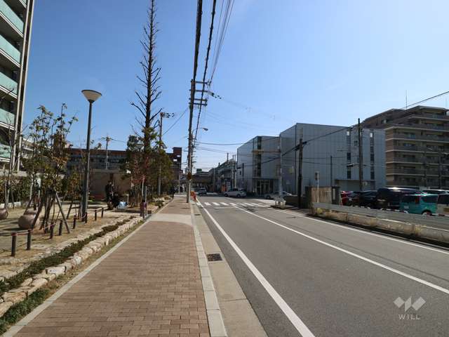 敷地南側の前面道路（西側から）