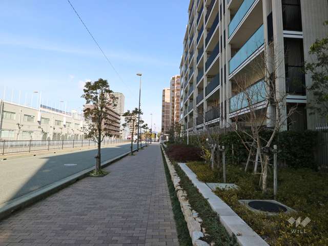 敷地西側前面道路（南側から）
