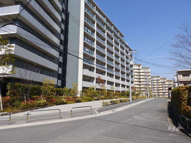 敷地東側の前面道路