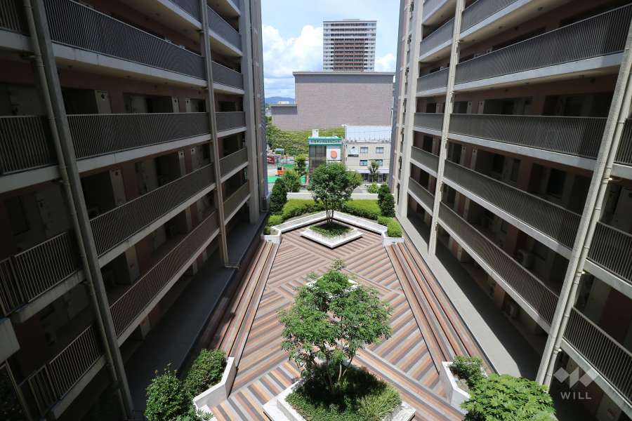 中庭