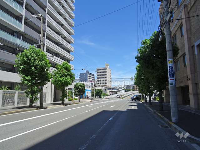 敷地南側の前面道路（西側から）