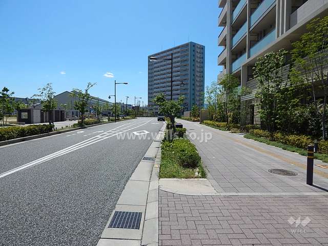 敷地南側の前面道路