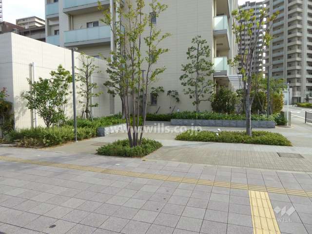 敷地内の緑地部分