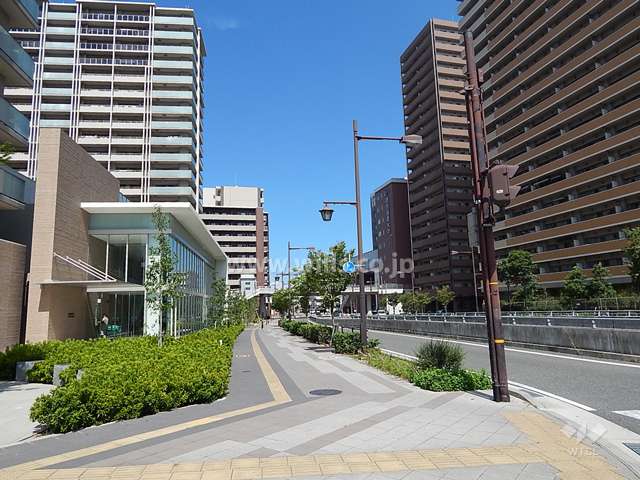 敷地東側の前面道路