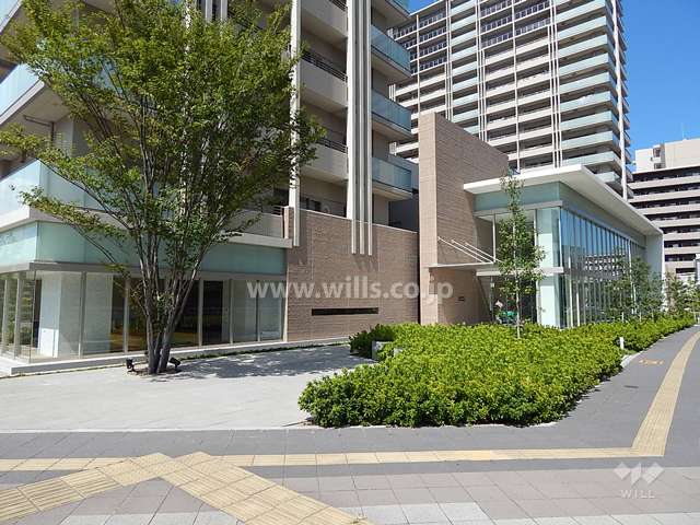 エントランス前にはシンボル・ツリーが植えられています。