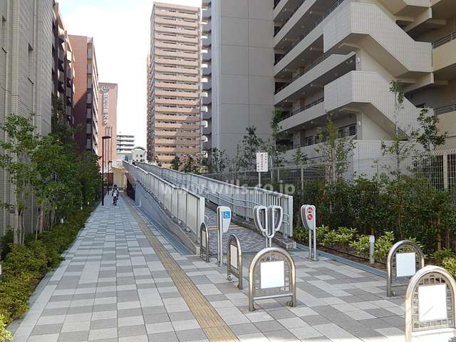 敷地北側の通路