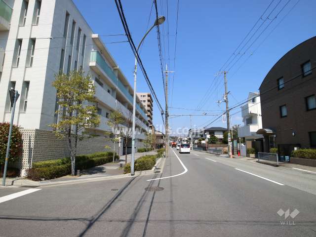 敷地東側の前面道路