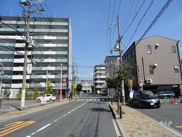 敷地東側の前面道路（南側から）