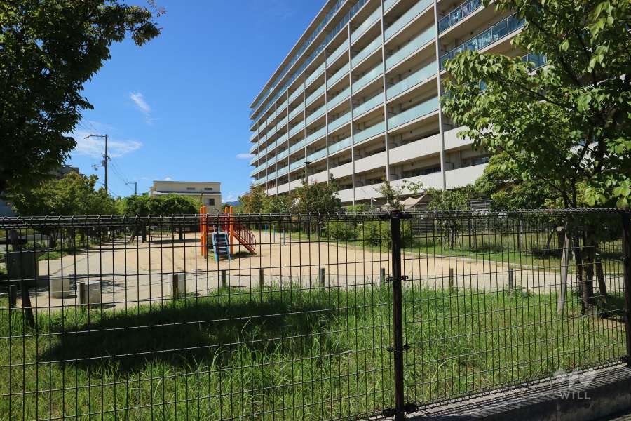 敷地南側は前浜東公園に隣接しています。