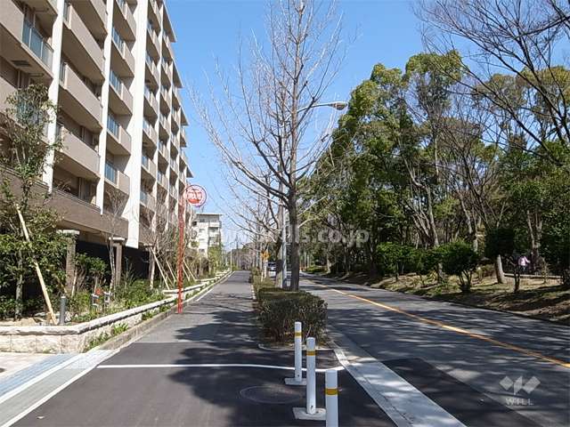 敷地東側は街路樹のきれいな通りに面しています。