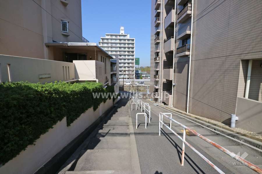 敷地北側前面道路（南側から）