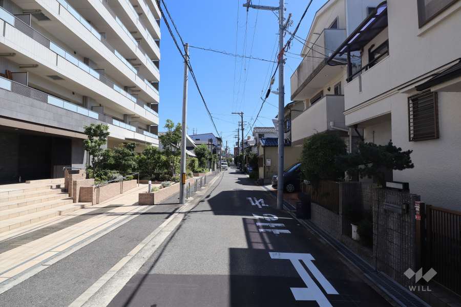 敷地南側の前面道路（西側から）