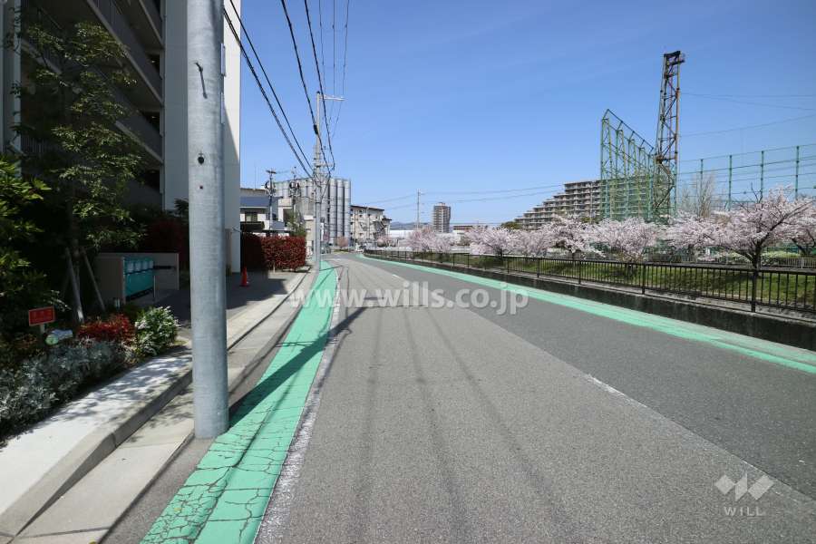 敷地東側の前面道路