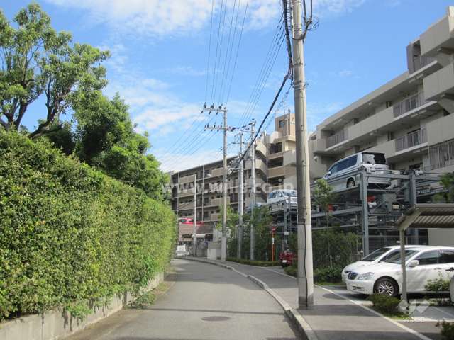 敷地北側の前面道路。道を挟んで『打出浜小学校』があります。