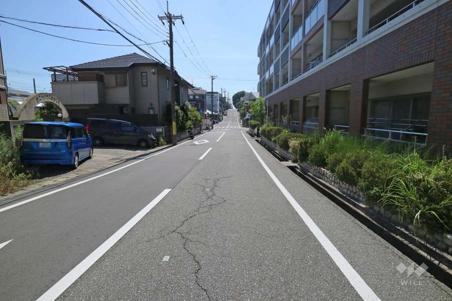 敷地南側の前面道路（東側から）