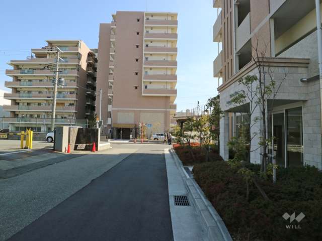 敷地北側の前面道路（西側から）