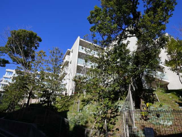敷地の周囲には木々が茂り、たいへん緑豊かです。