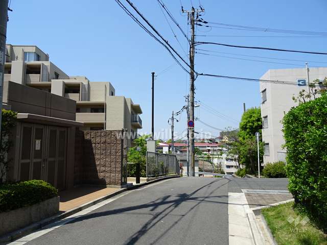 敷地北側の前面道路（東側から）
