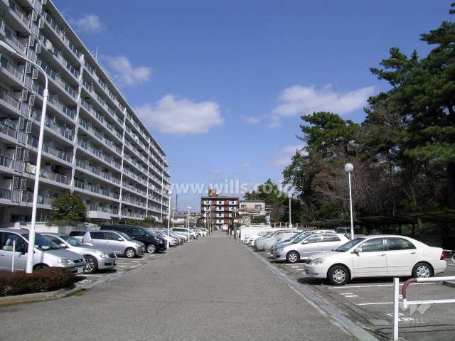 敷地の東側には堤防沿いに松林が並ぶ高川が流れています。