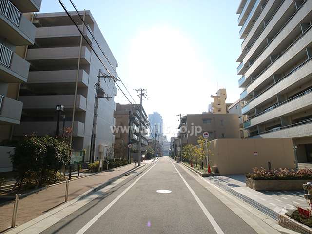 敷地東側の前面道路