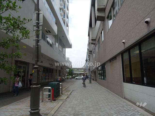 北側前面道路（東側から）