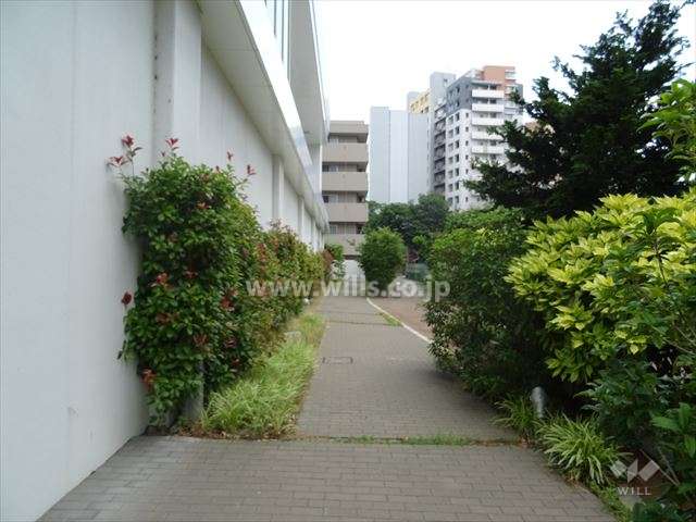 南側前面道路（西側から）