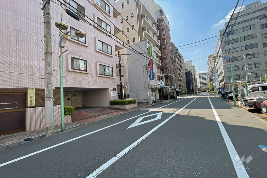 敷地西側の前面道路（北側から）