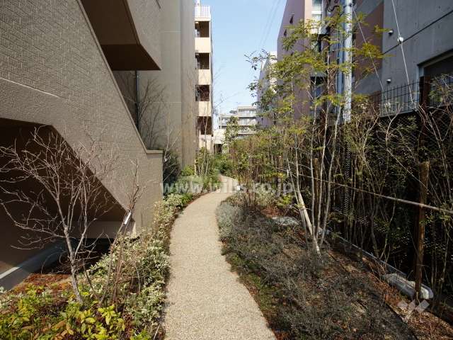 敷地東側の遊歩道