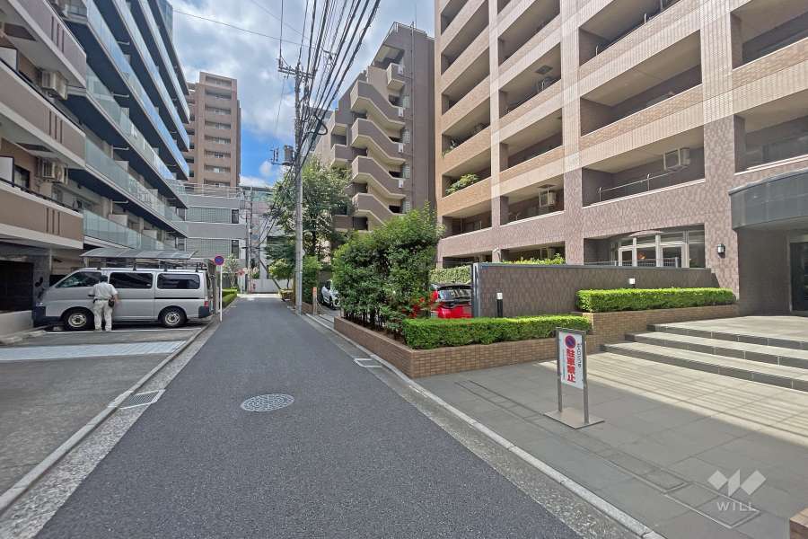 敷地の東側前面道路（北側から）