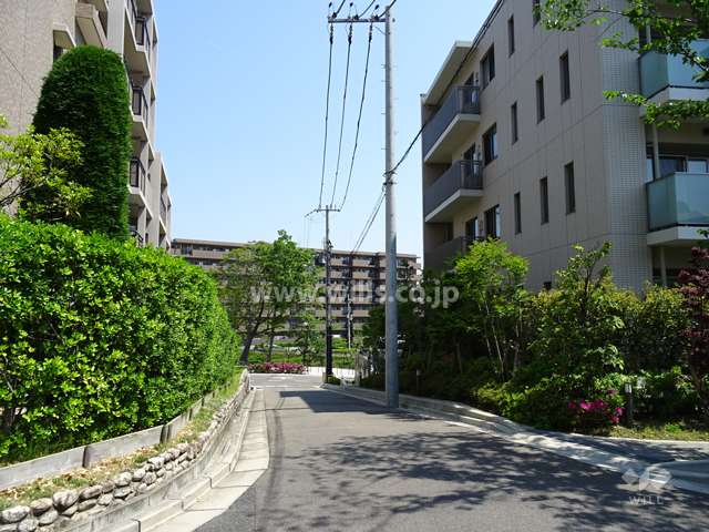 敷地北東側の前面道路（北西側から）