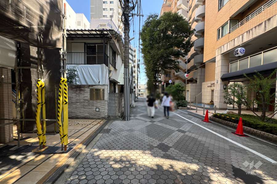 敷地西側の前面道路