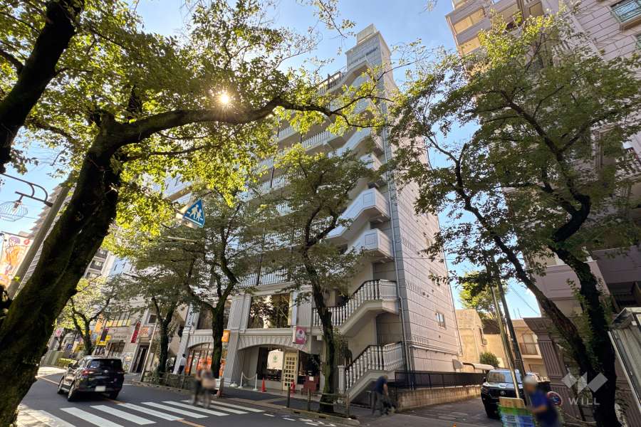 ダイアパレス武蔵境1の外観.（北西側から）