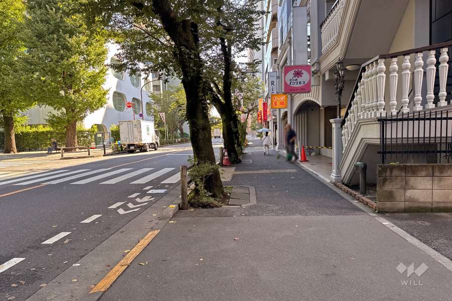 敷地北側の前面道路（西側から）