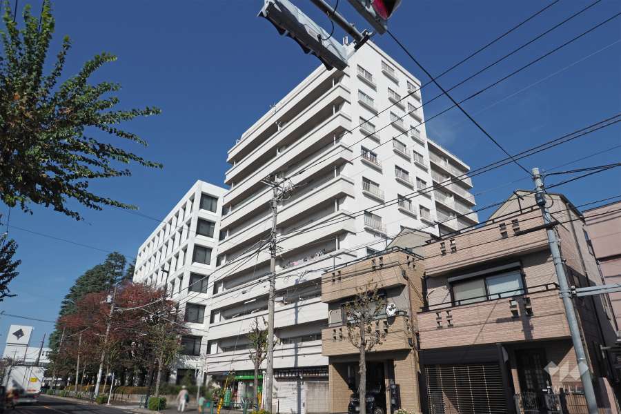 武蔵野サマリヤマンションの外観（南東側から）