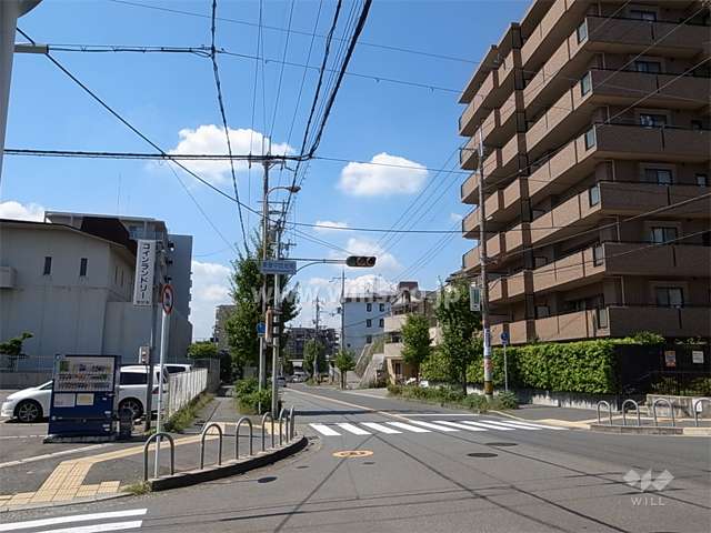 敷地南側の前面道路。街路樹のきれいな通りです。