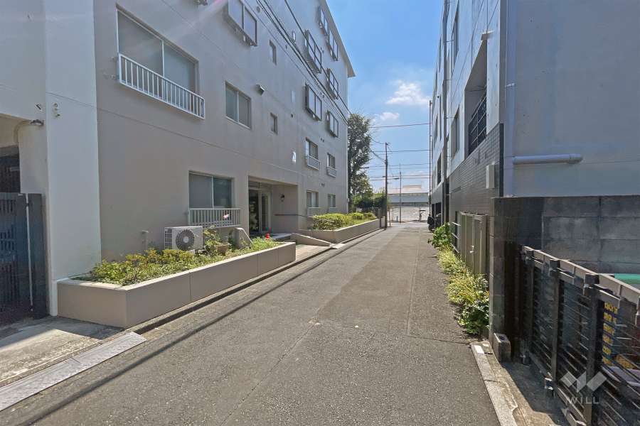 敷地の西側前面道路（北側から）