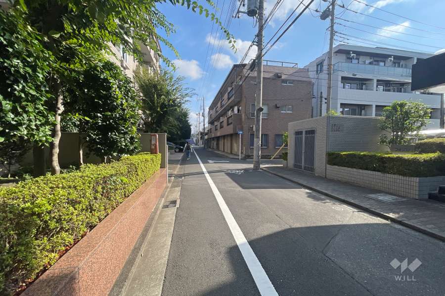 敷地の東側前面道路（南側から）