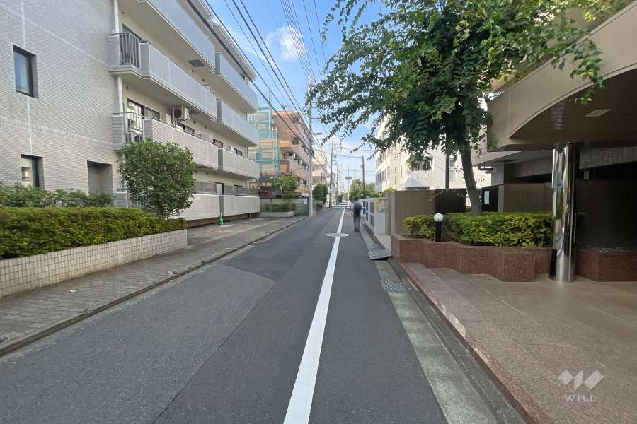 敷地の東側前面道路（北側から）