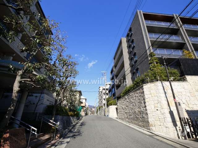 敷地西側の前面道路
