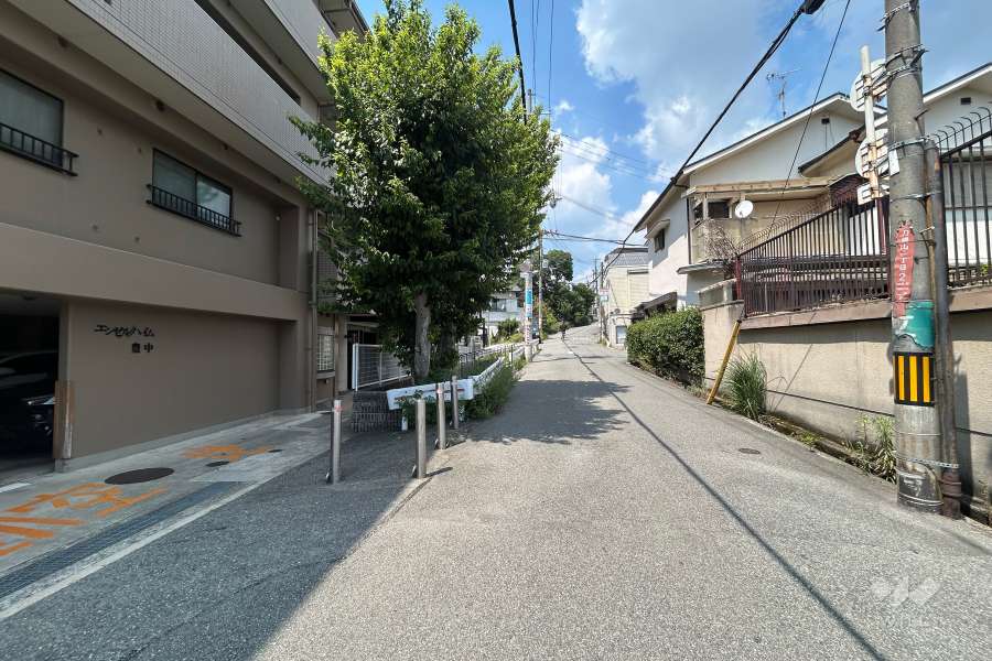 敷地東側の前面道路