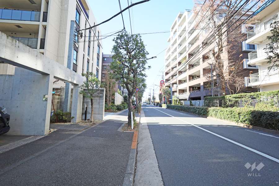 敷地北側の前面道路