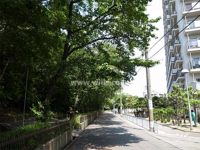 敷地の西側は緑地に面しています。