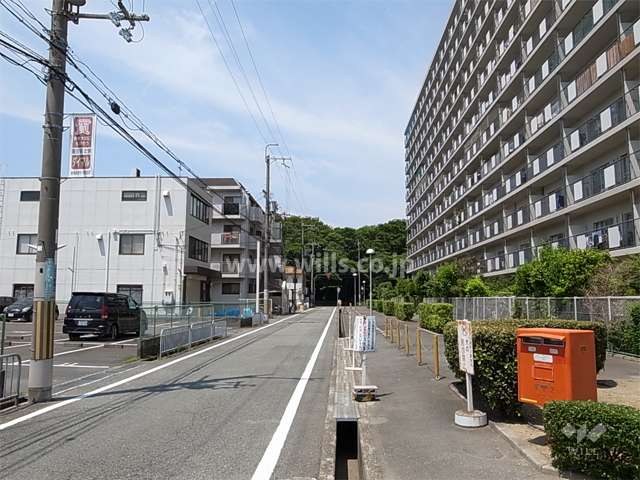 敷地南側の前面道路