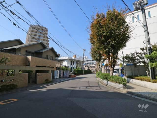 敷地南側の前面道路