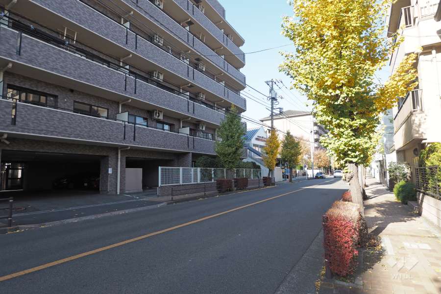 敷地東側の前面道路