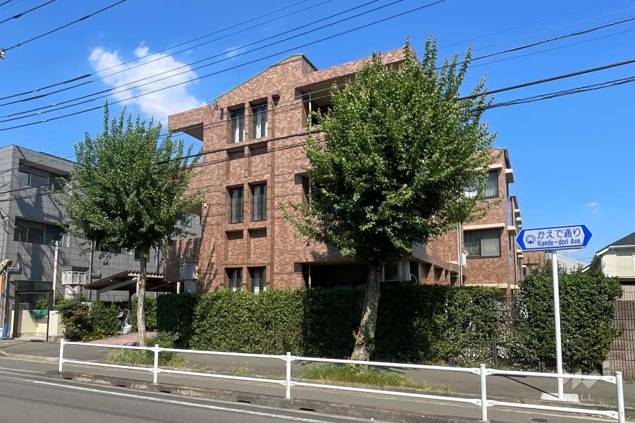 センチュリー武蔵野パート3の外観（南西側から）