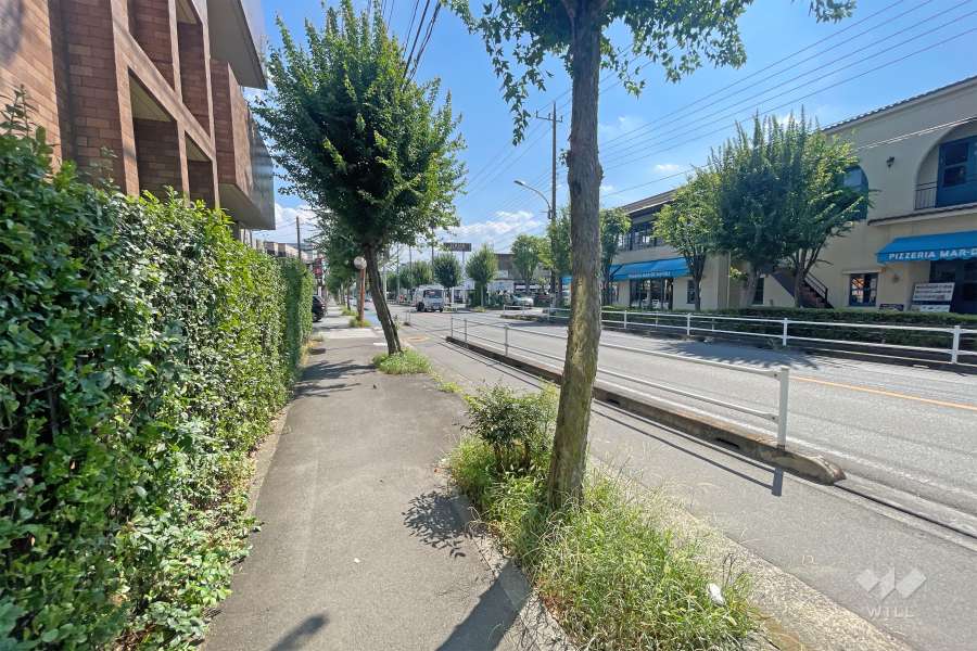 敷地西側の前面道路（北側から）